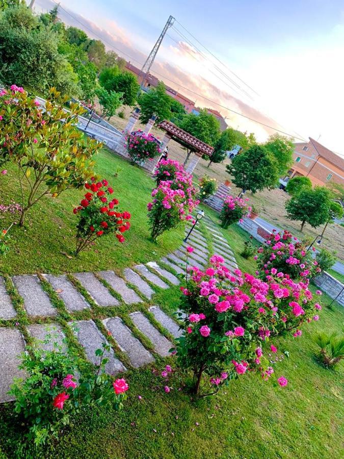 B&B Da Mary Matrice Luaran gambar